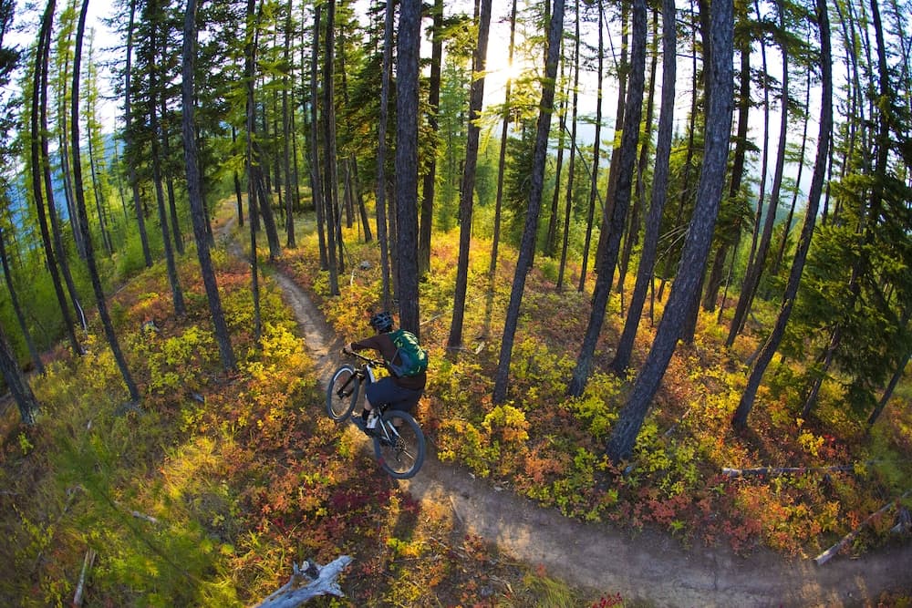 Bicycling