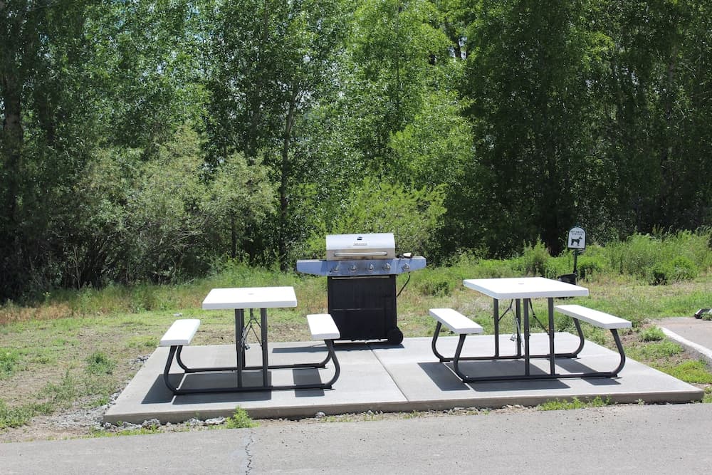 BBQ/picnic area