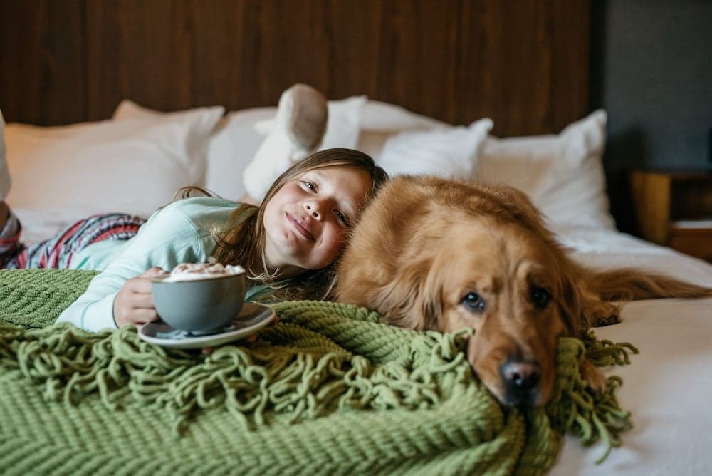 Pet-friendly