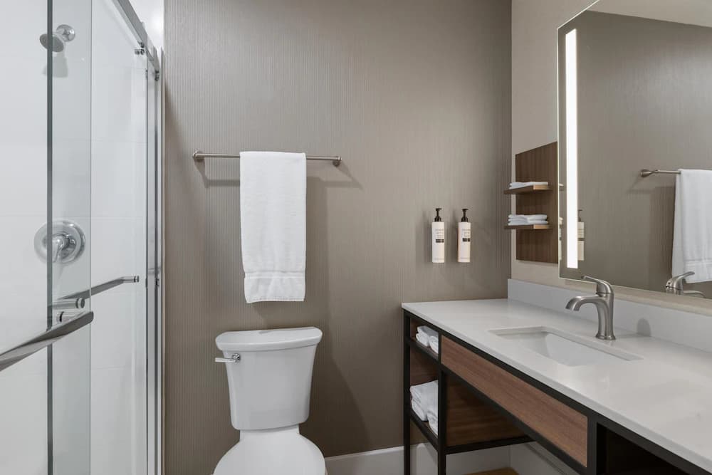 Bathroom shower