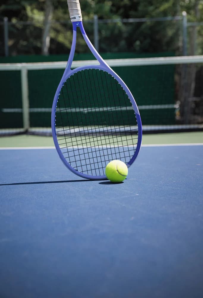 Tennis court
