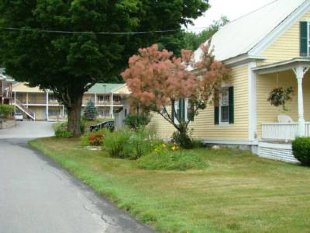 Primary image