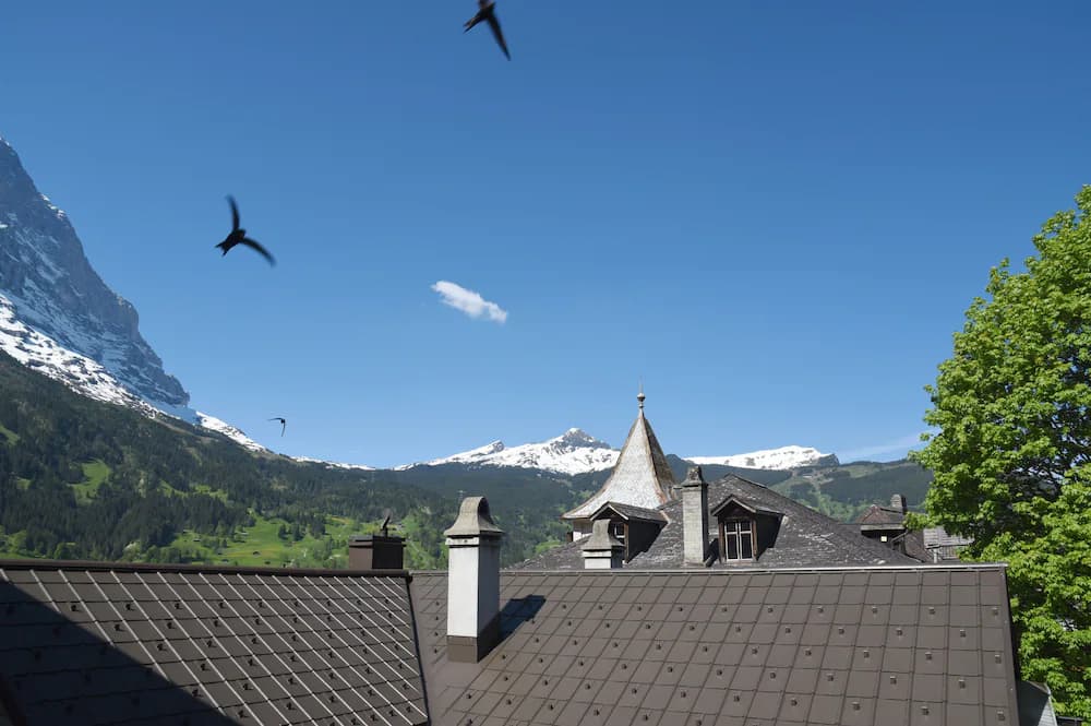 View from room