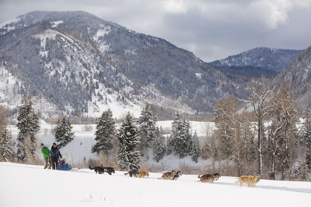 Snow and ski sports