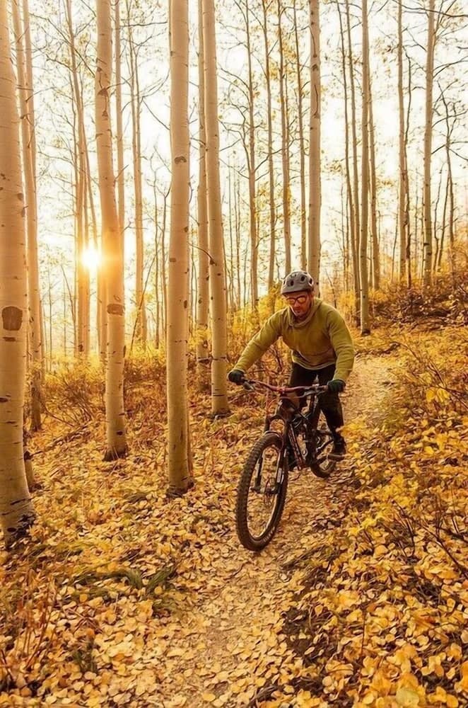 Bicycling