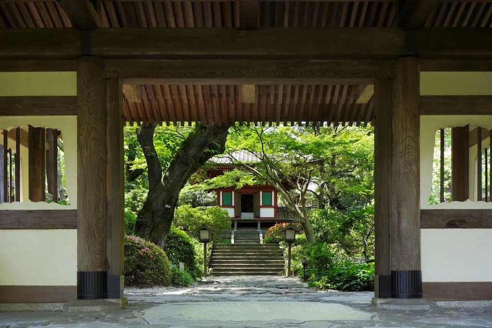 View from property