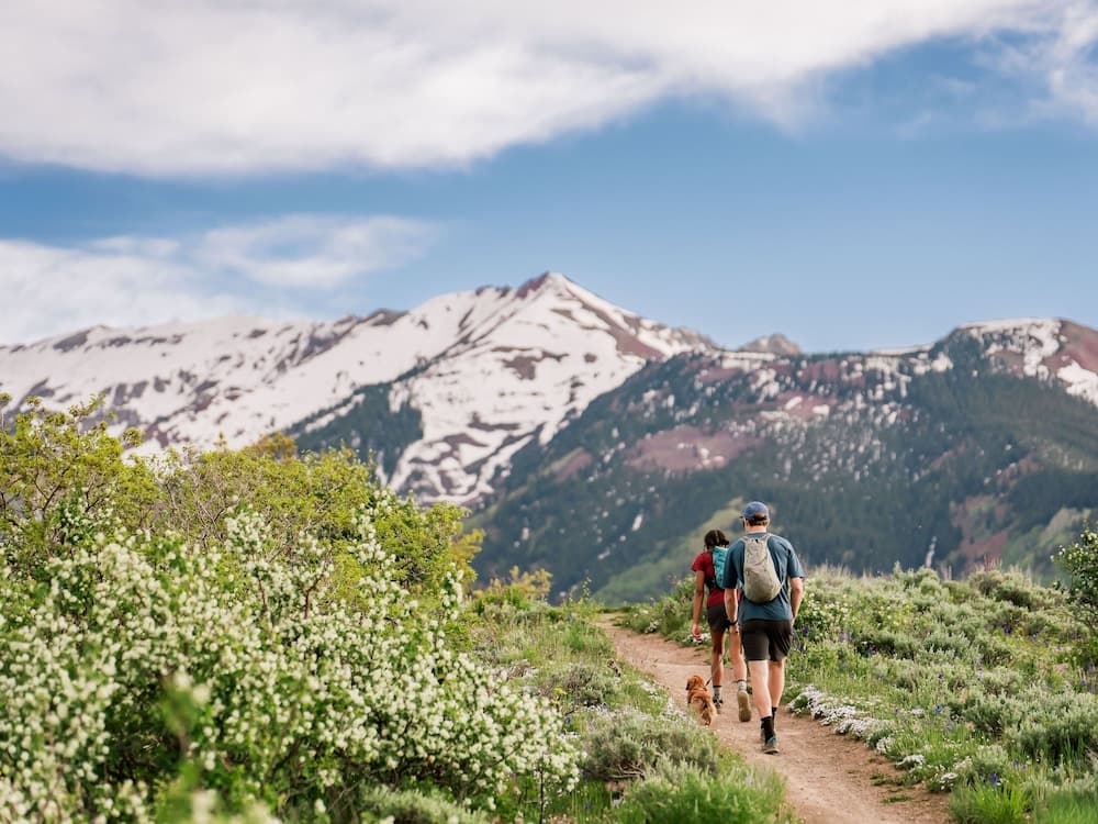 Hiking