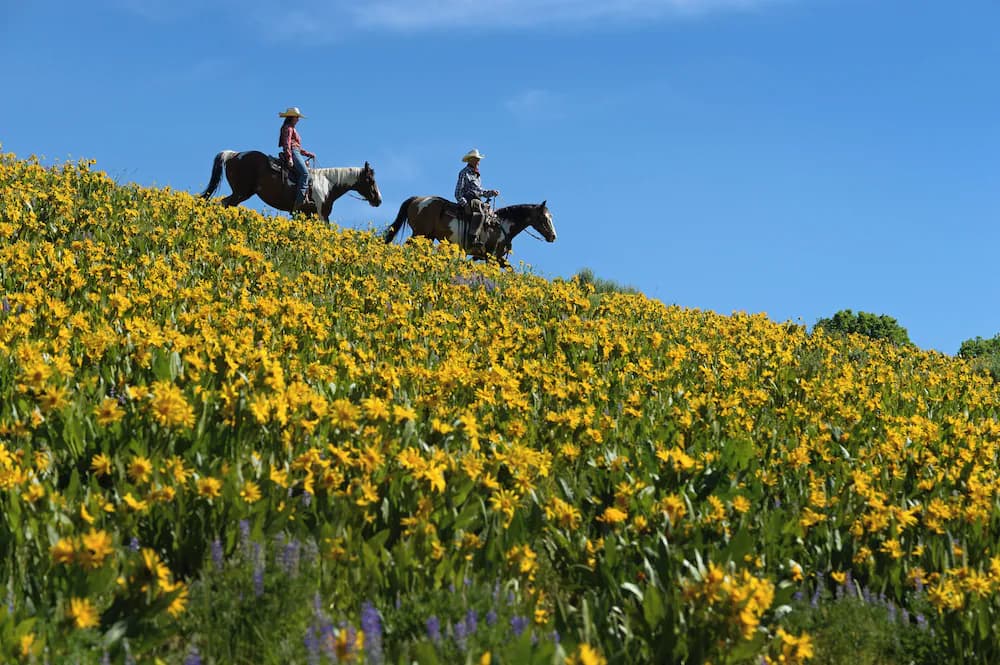 Horseback riding