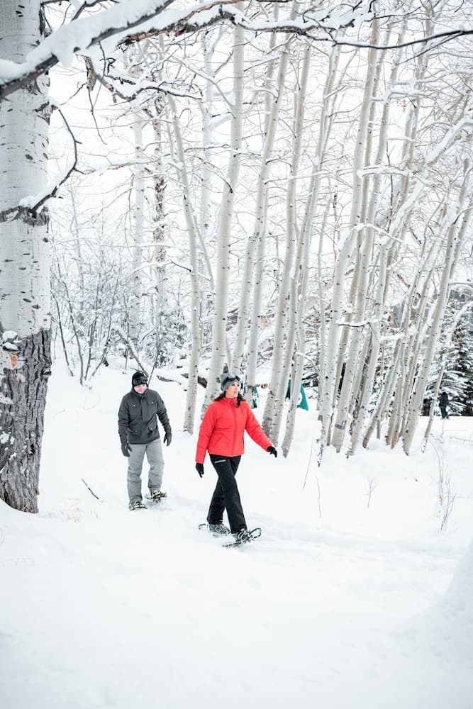 Snowshoeing