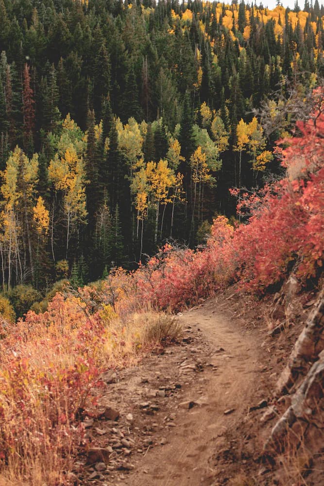 Hiking