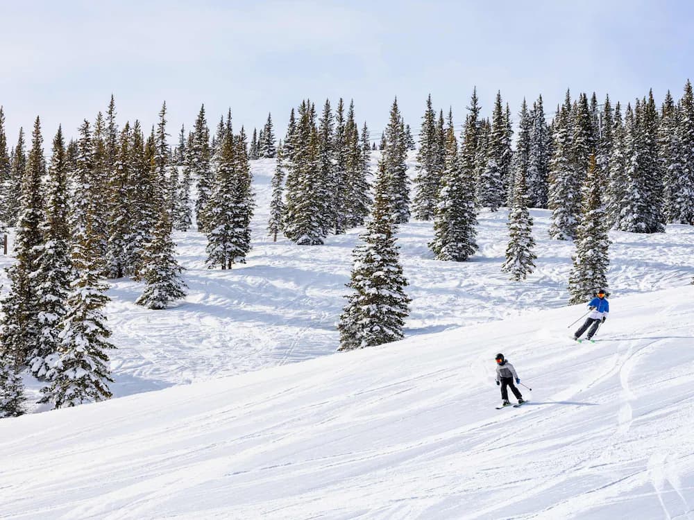 Snow and ski sports