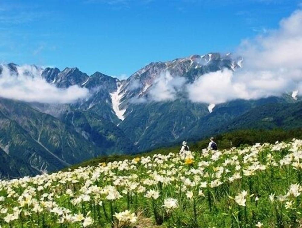 Mountain view