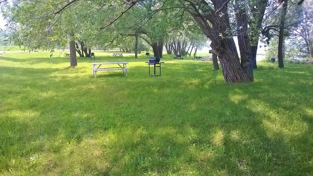 BBQ/picnic area