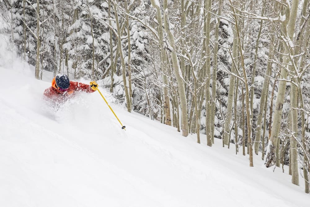 Skiing