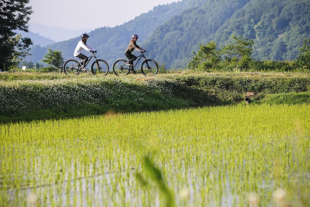 Bicycling