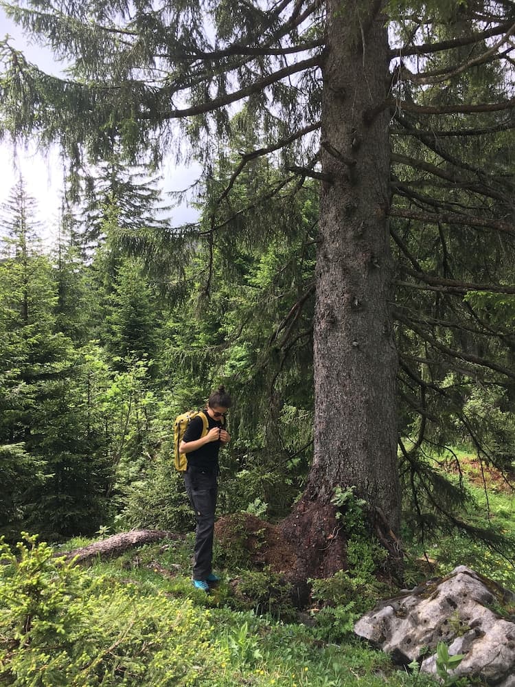 Hiking