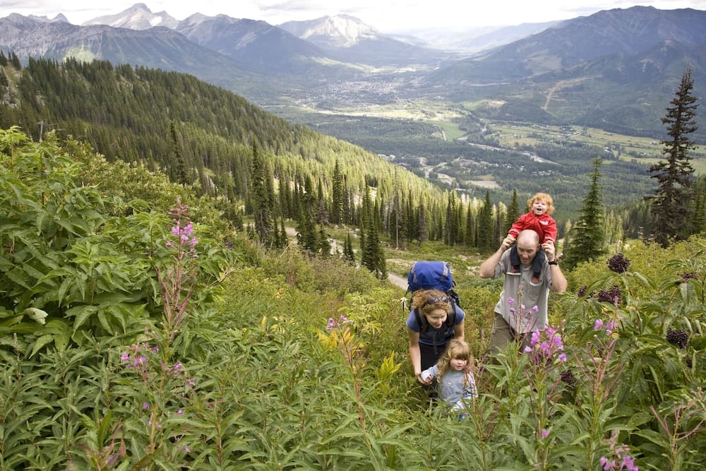 Hiking