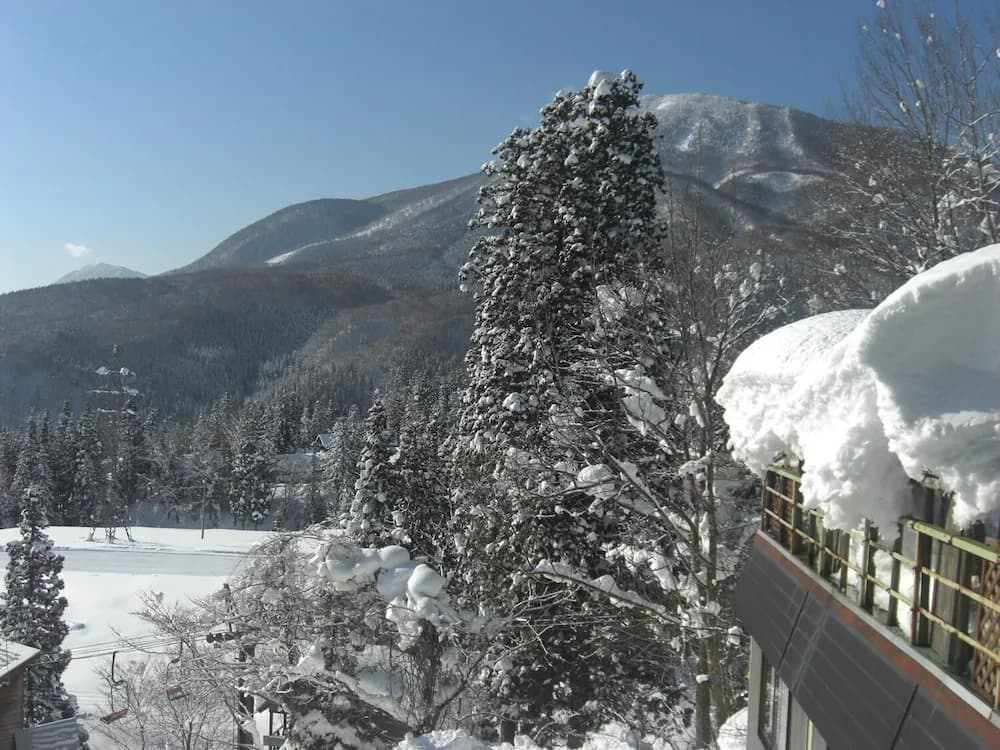 View from room