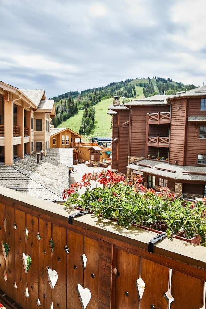 Land view from property