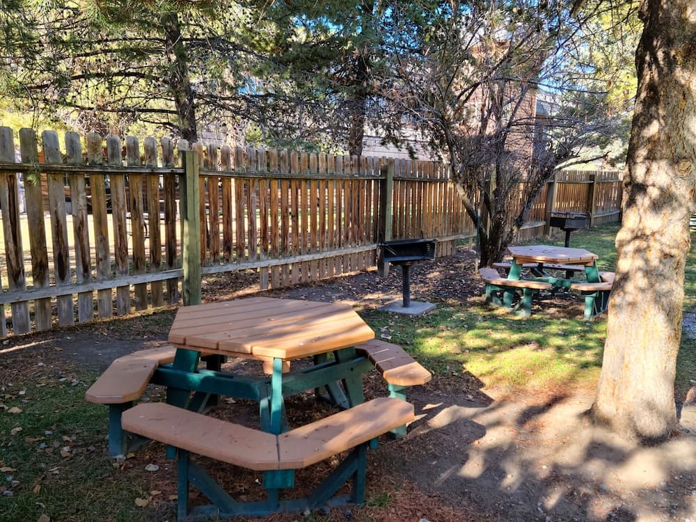 BBQ/picnic area