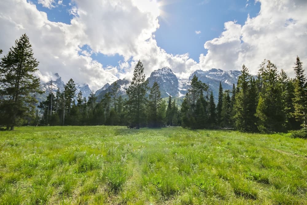 View from property