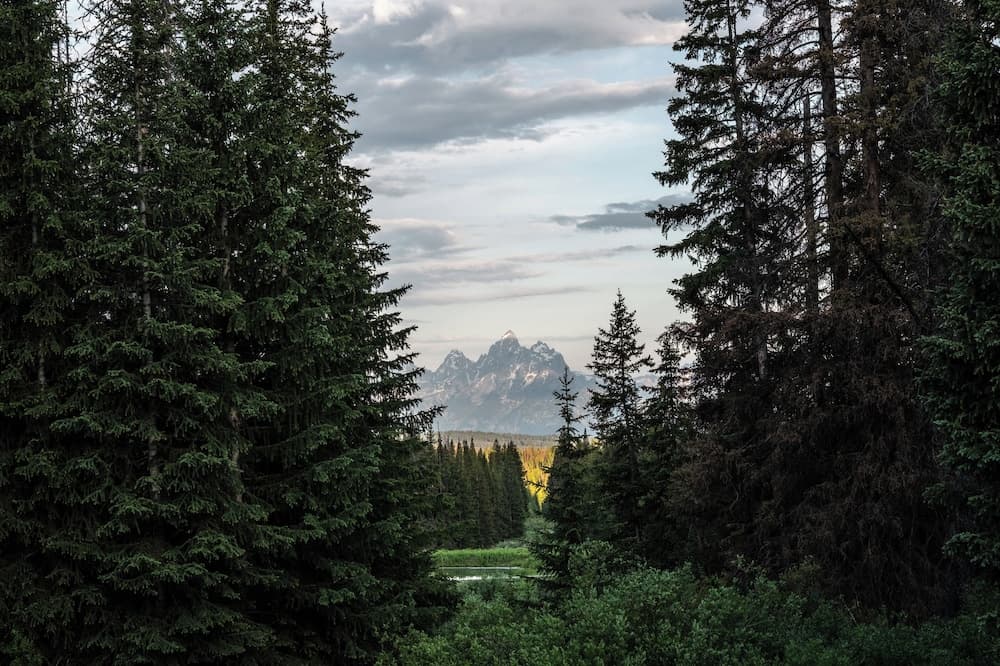 View from property