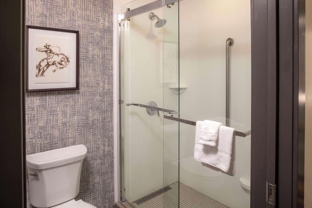 Bathroom shower
