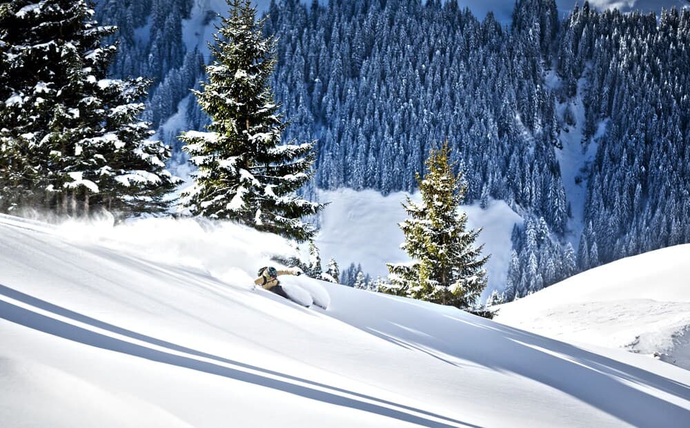 Skiing
