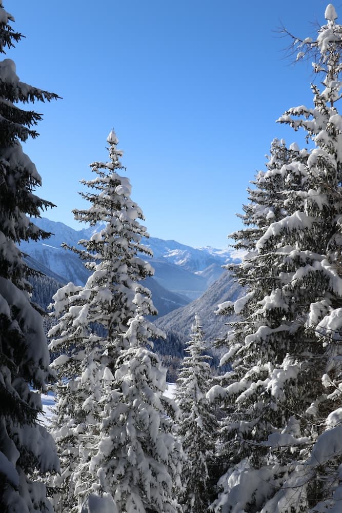 Snowshoeing