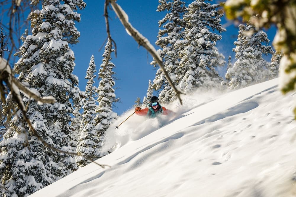 Skiing