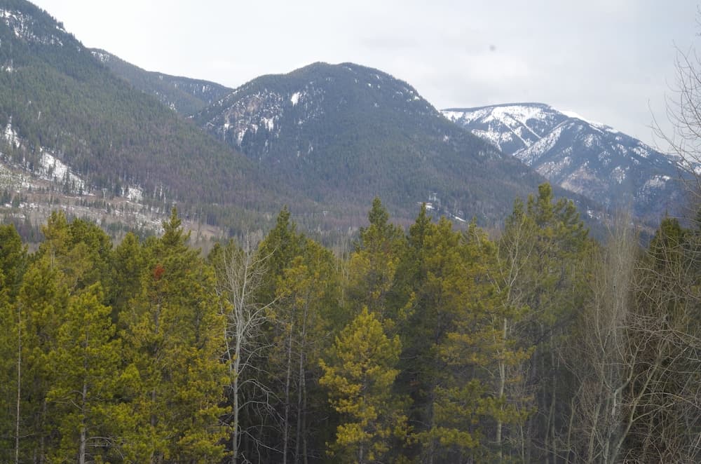 Mountain view