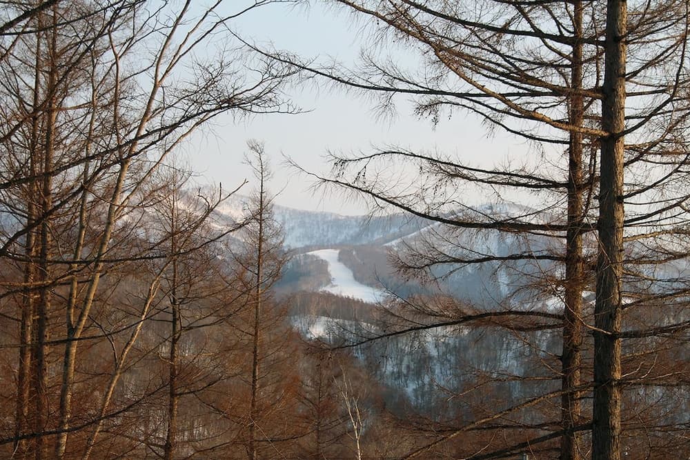 Mountain view