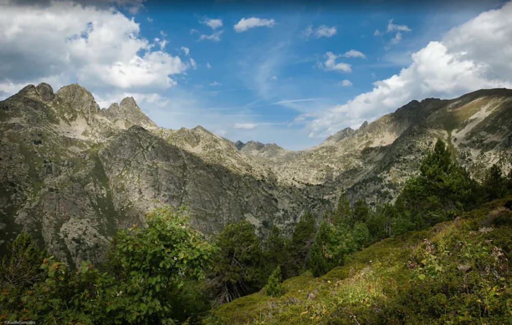 Mountain view