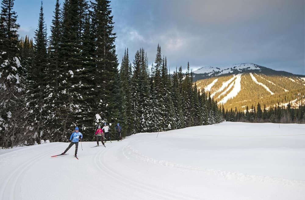 Snow and ski sports