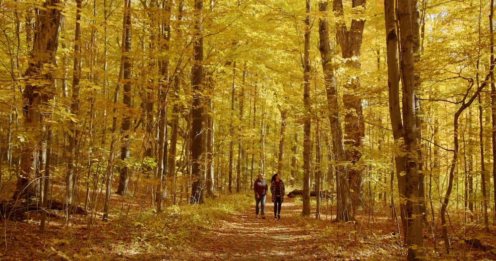 Hiking