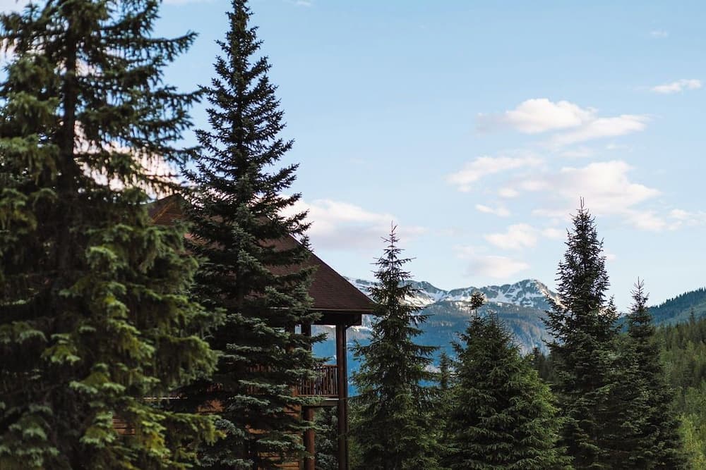 View from property
