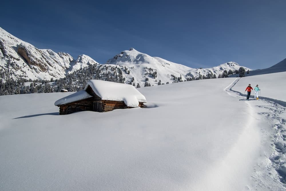 Snowshoeing