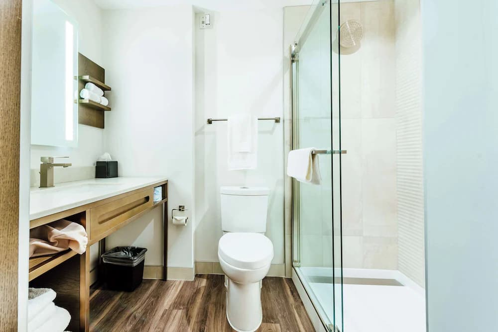 Bathroom shower