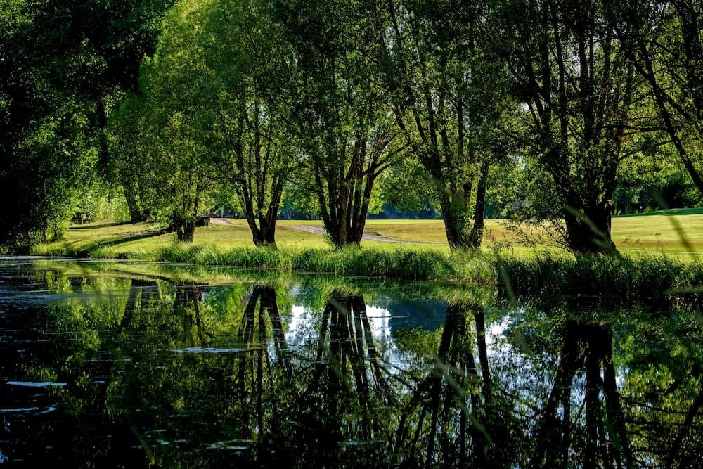 Lake