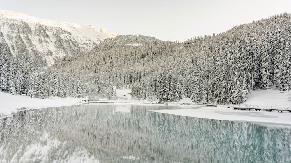 Lake view