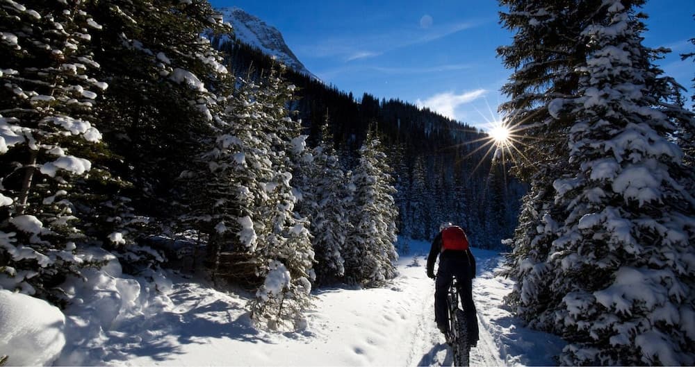 Bicycling
