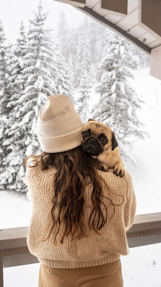 Pet-friendly