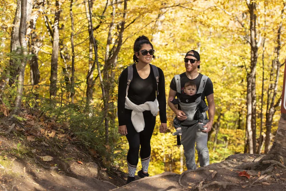 Hiking
