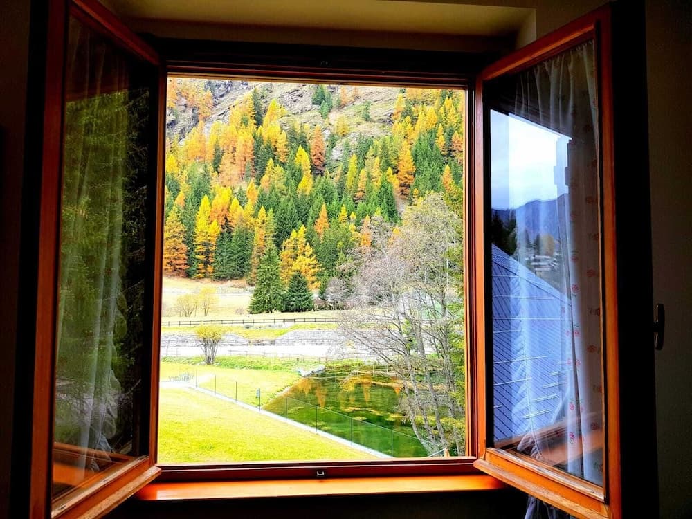 View from room