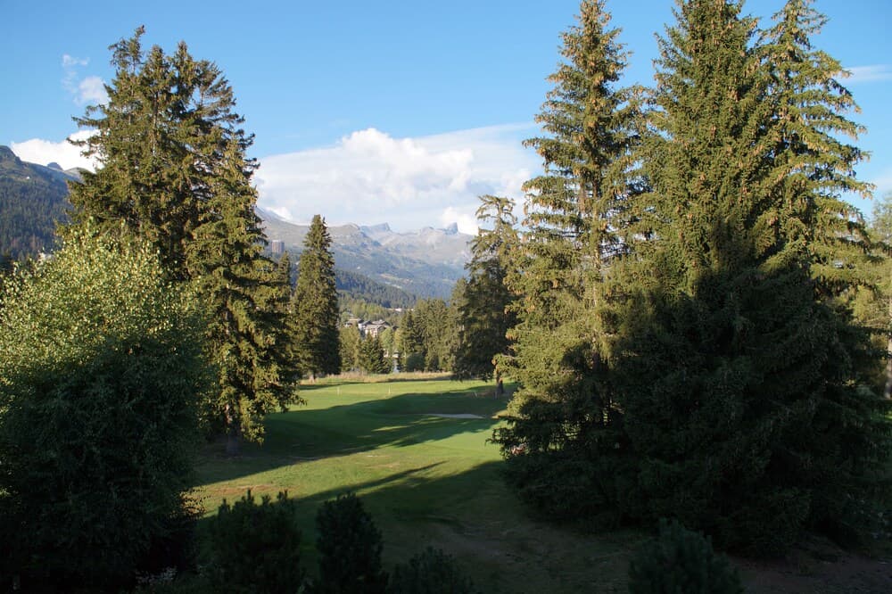 Garden view