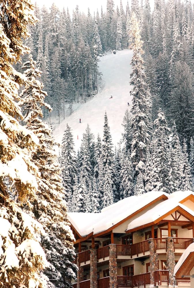 Snow and ski sports