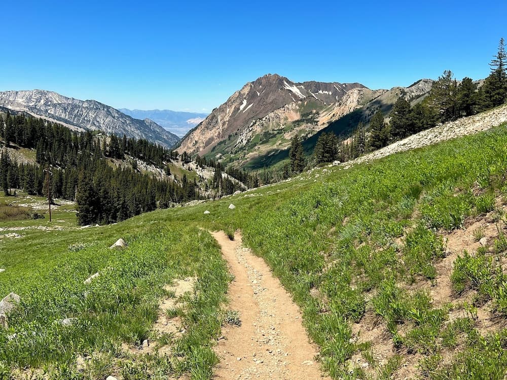 Hiking