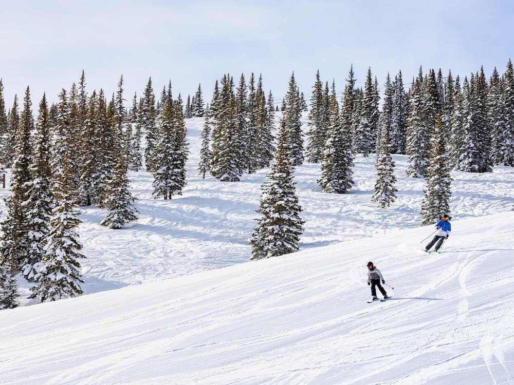 Skiing