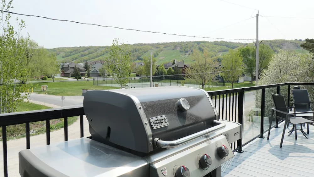 BBQ/picnic area