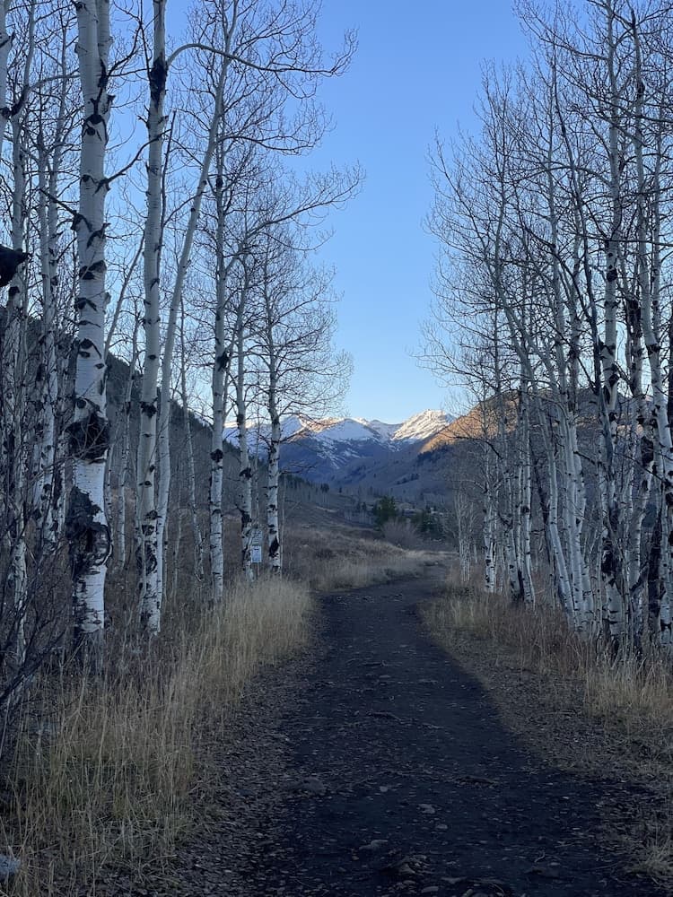 Hiking